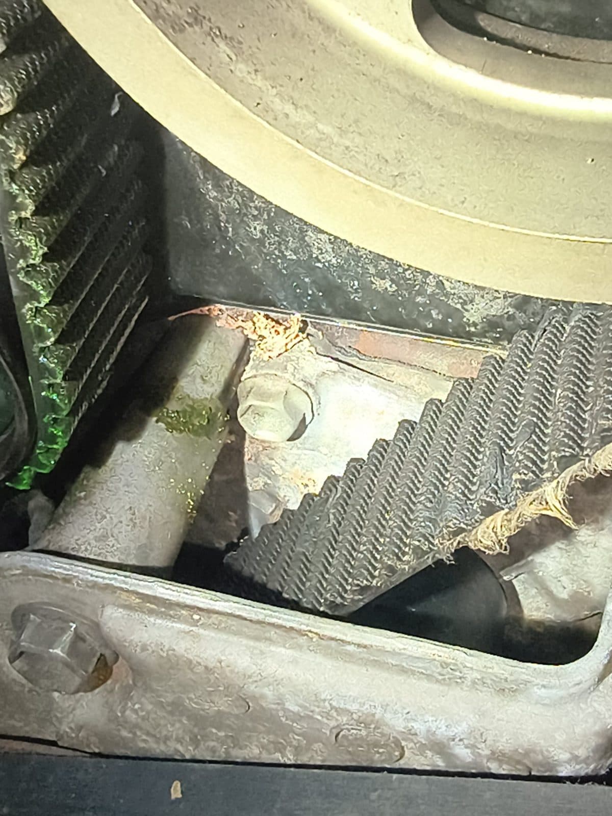 Dried coolant residue at the water pump behind the timing belt on the Tacoma engine